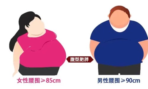 麻黄止嗽颗粒说明书儿童用量-麻黄止嗽颗粒说明书网 | 麻黄止嗽颗粒说明书儿童用量,麻黄止咳颗粒